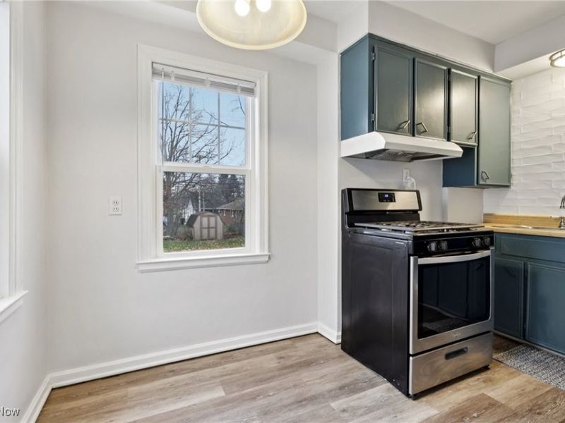 244 E Catawba Avenue, Akron, OH 44301 Photo 8