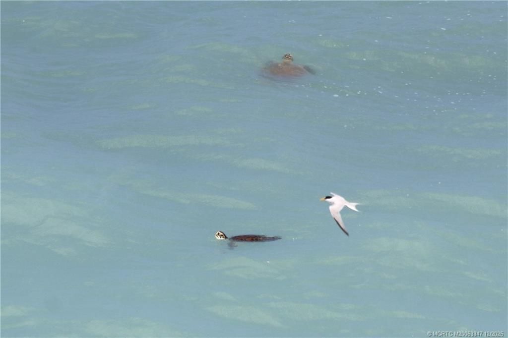 7380 S Ocean Drive, Unit 621, Jensen Beach, FL 34957 Photo