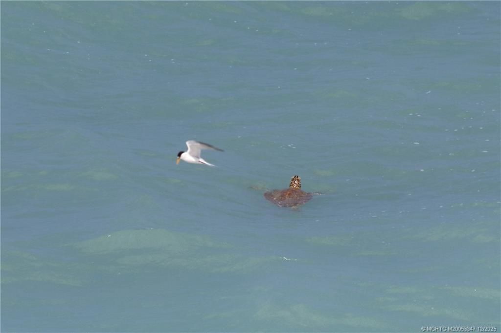 7380 S Ocean Drive, Unit 621, Jensen Beach, FL 34957 Photo