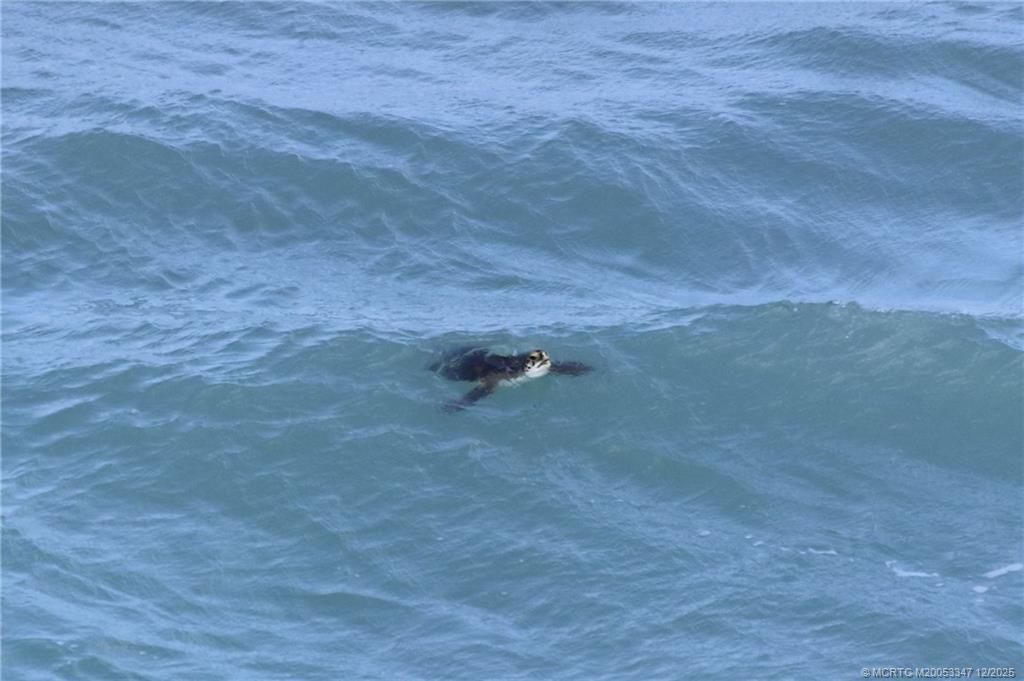 7380 S Ocean Drive, Unit 621, Jensen Beach, FL 34957 Photo