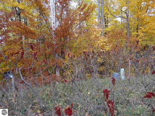 80 Eden Street, Kingsley, MI 49649