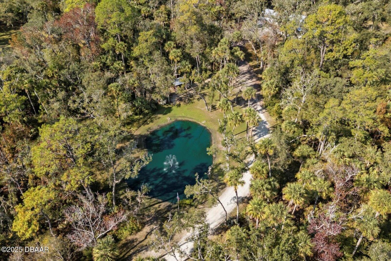 2995 Ragis Road, Edgewater, FL 32132 Photo