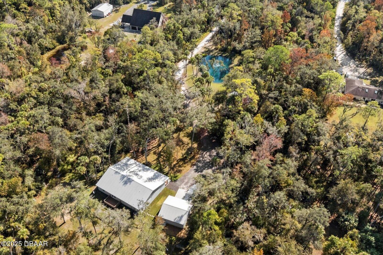 2995 Ragis Road, Edgewater, FL 32132 Photo