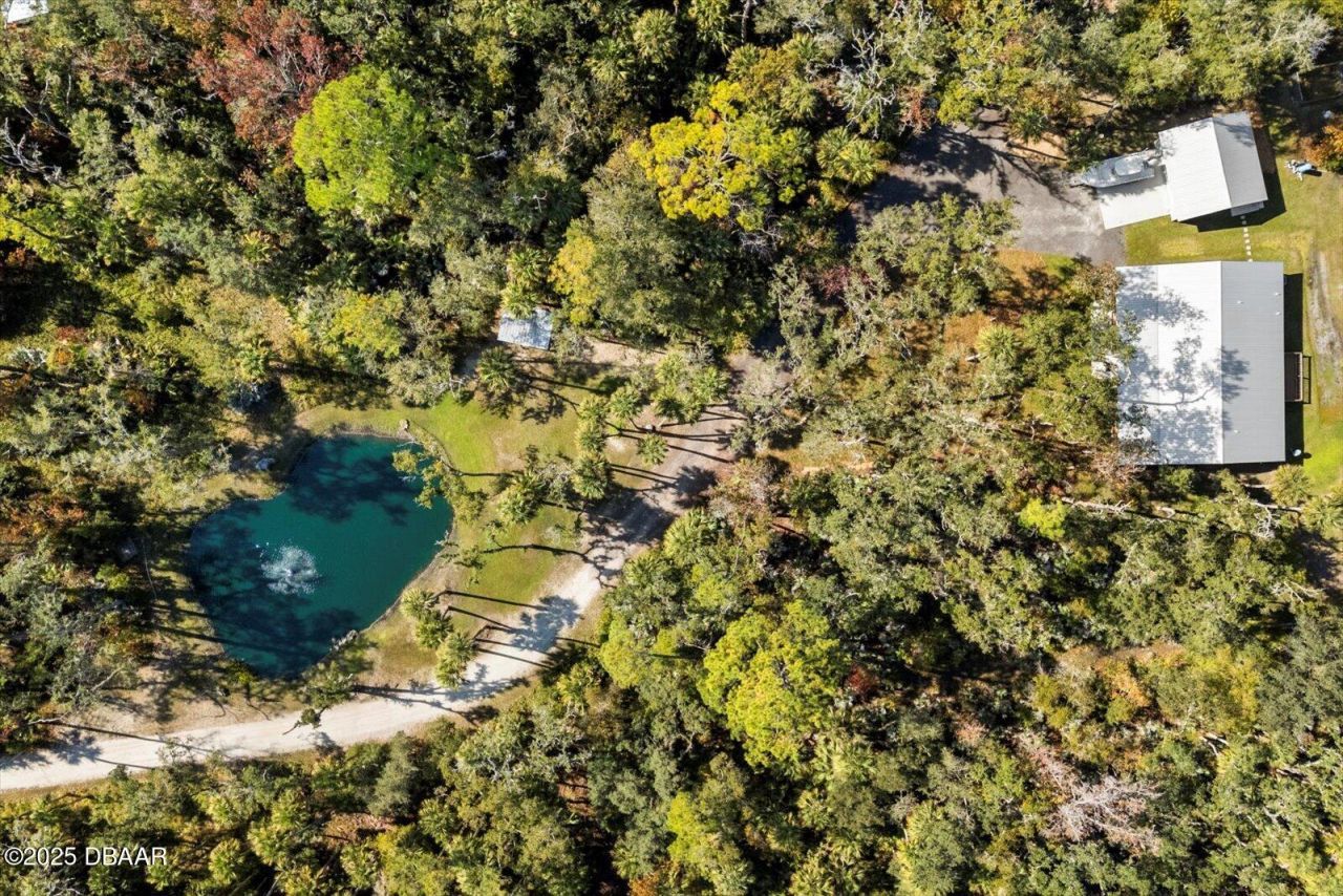 2995 Ragis Road, Edgewater, FL 32132 Photo