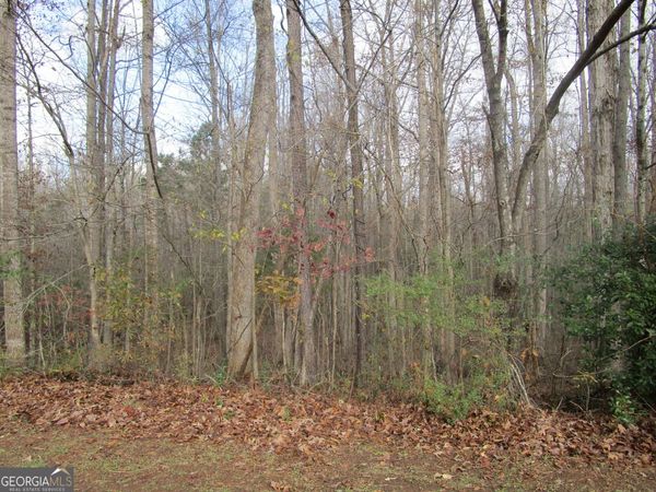 135 Four Oaks Drive, Griffin, GA 30224