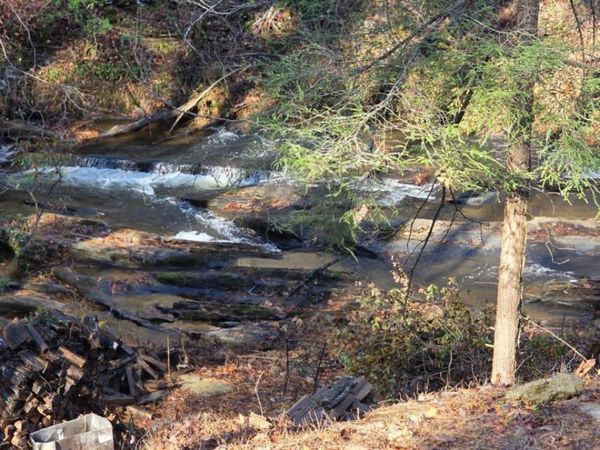 0 Dell Moore Road, Marble Hill, GA 30148