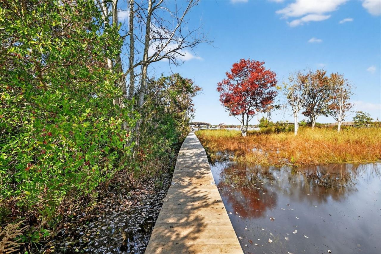 1741 Edgewater Drive, Mount Dora, FL 32757 Photo