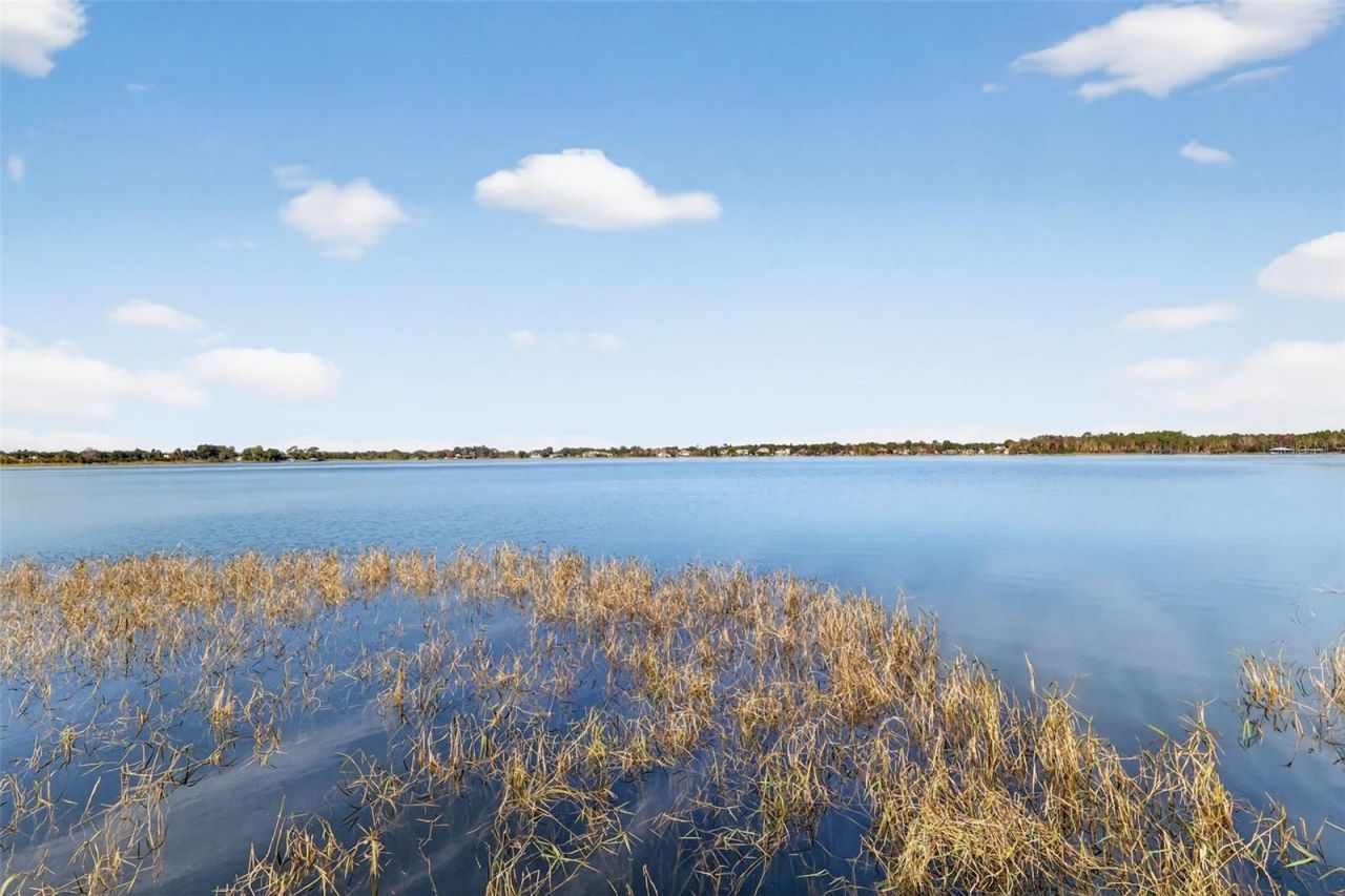 1741 Edgewater Drive, Mount Dora, FL 32757 Photo