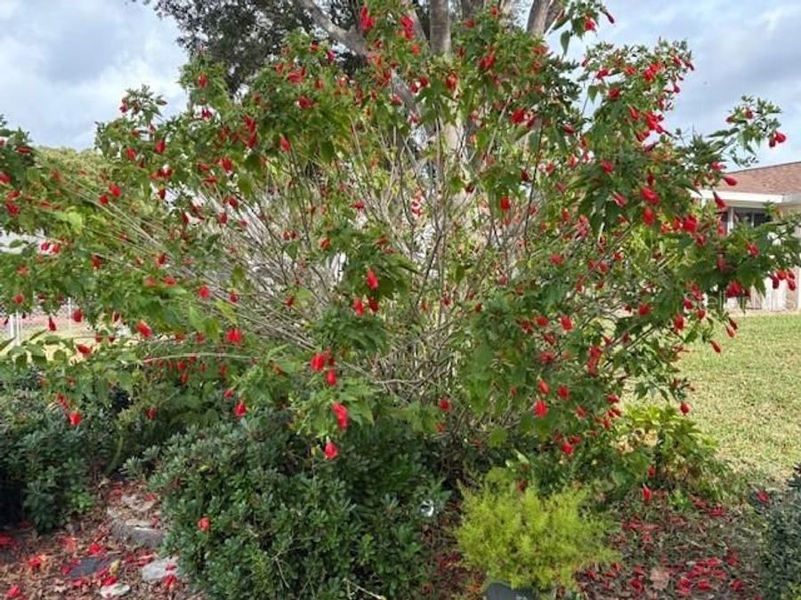 Property Image 52