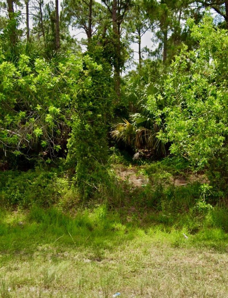 2956 SW Moody Terrace, Port Saint Lucie, FL 34953 Photo