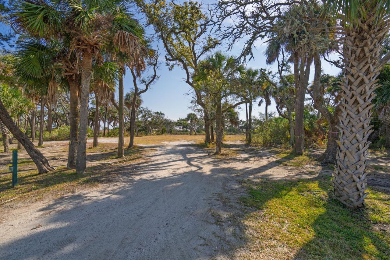 49 Lost Village Trail Photo 10