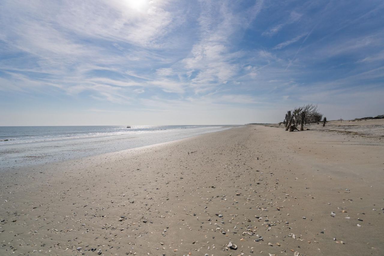 49 Lost Village Trail Photo 21