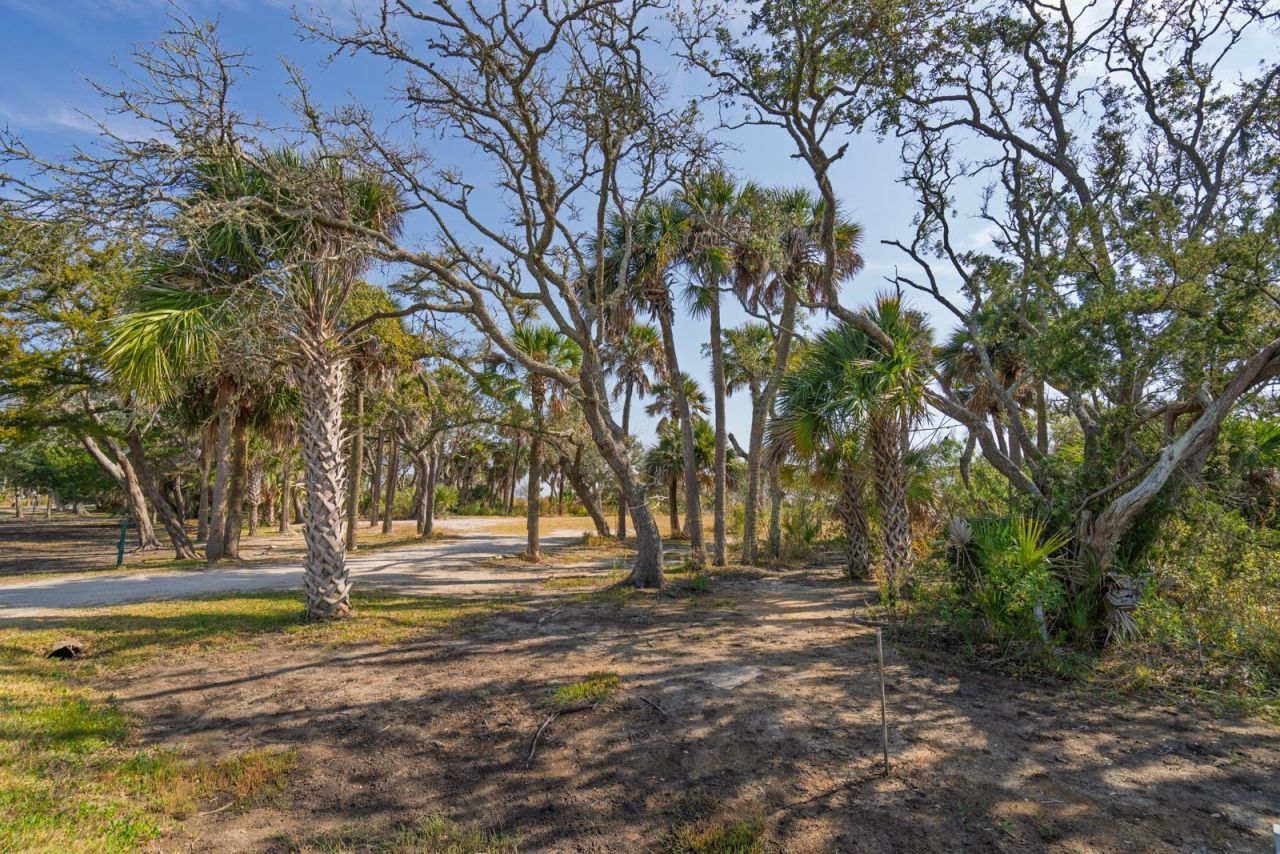 49 Lost Village Trail Photo 9