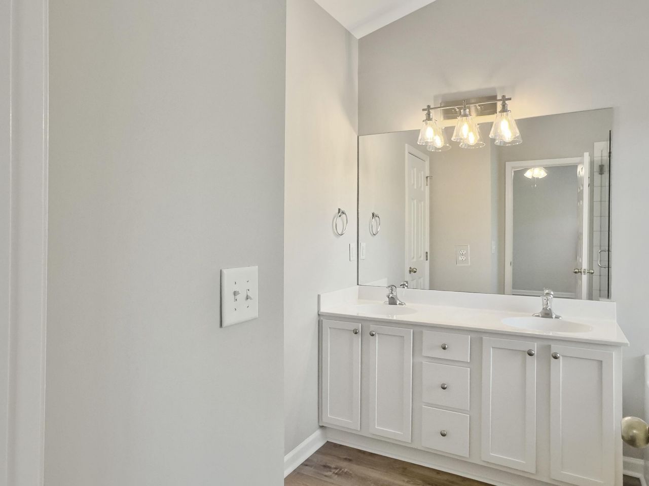 1442 Hamlin Park Circle Photo 41