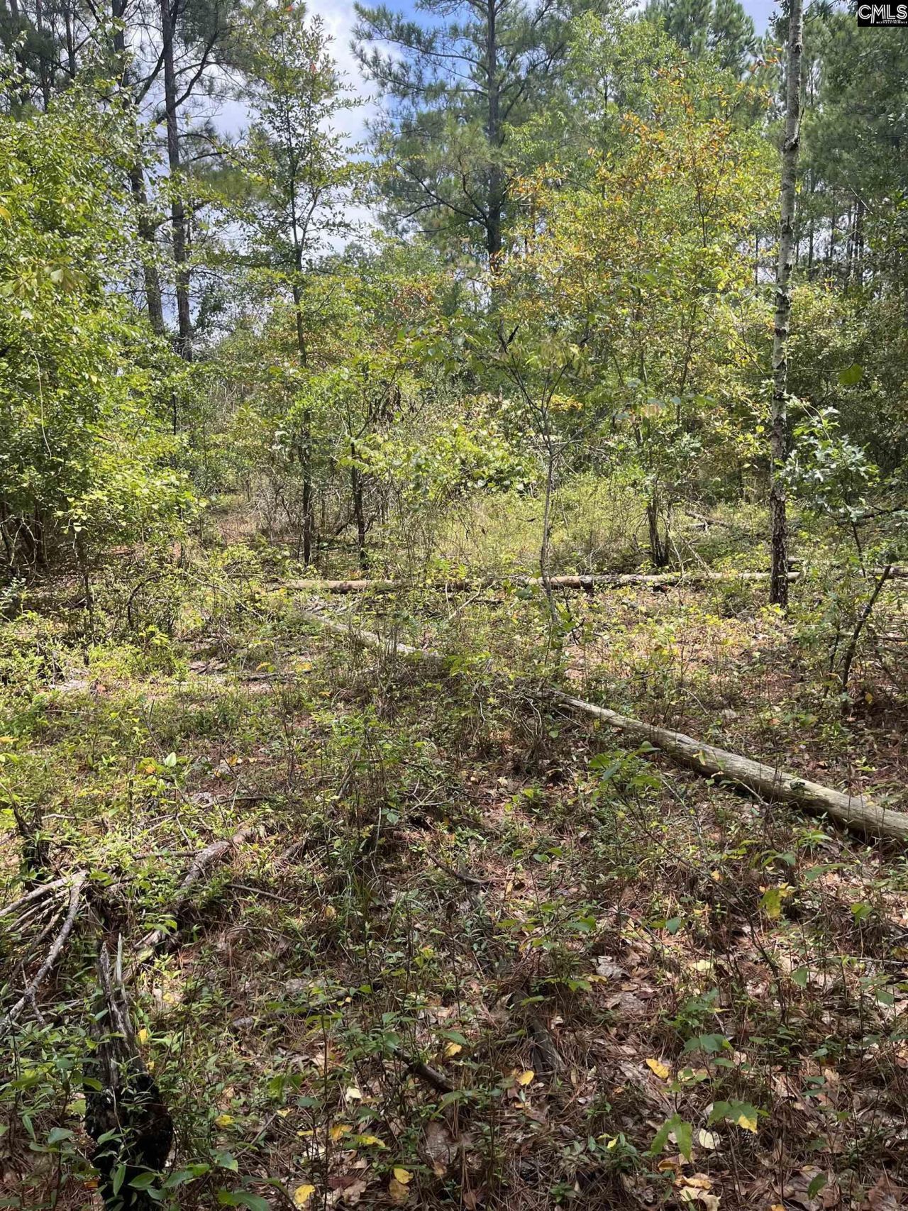 Bhl 4 Boise Cascade Road Photo 11