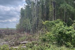 Bhl 4 Boise Cascade Road photo 4