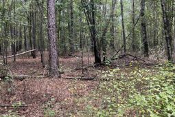 Bhl 4 Boise Cascade Road photo 4