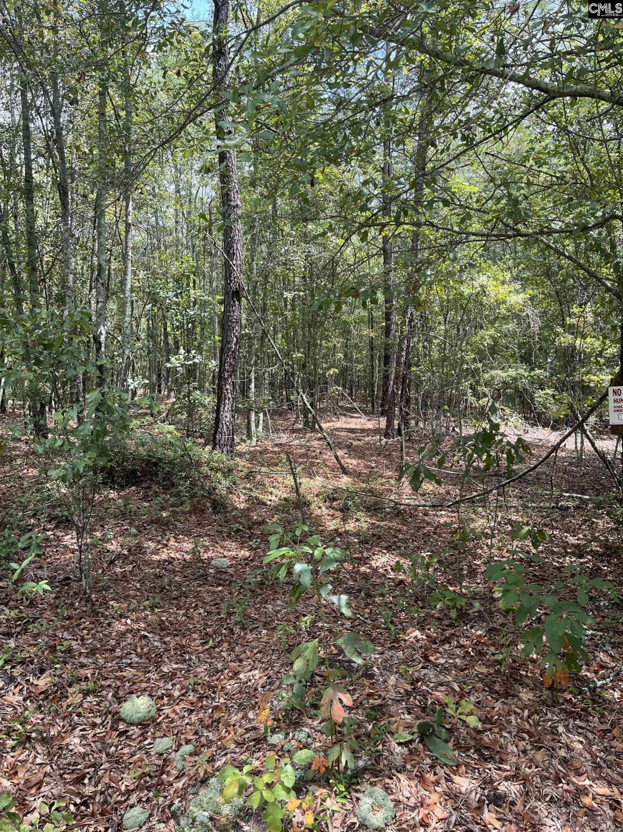 Bhl 4 Boise Cascade Road Photo 7