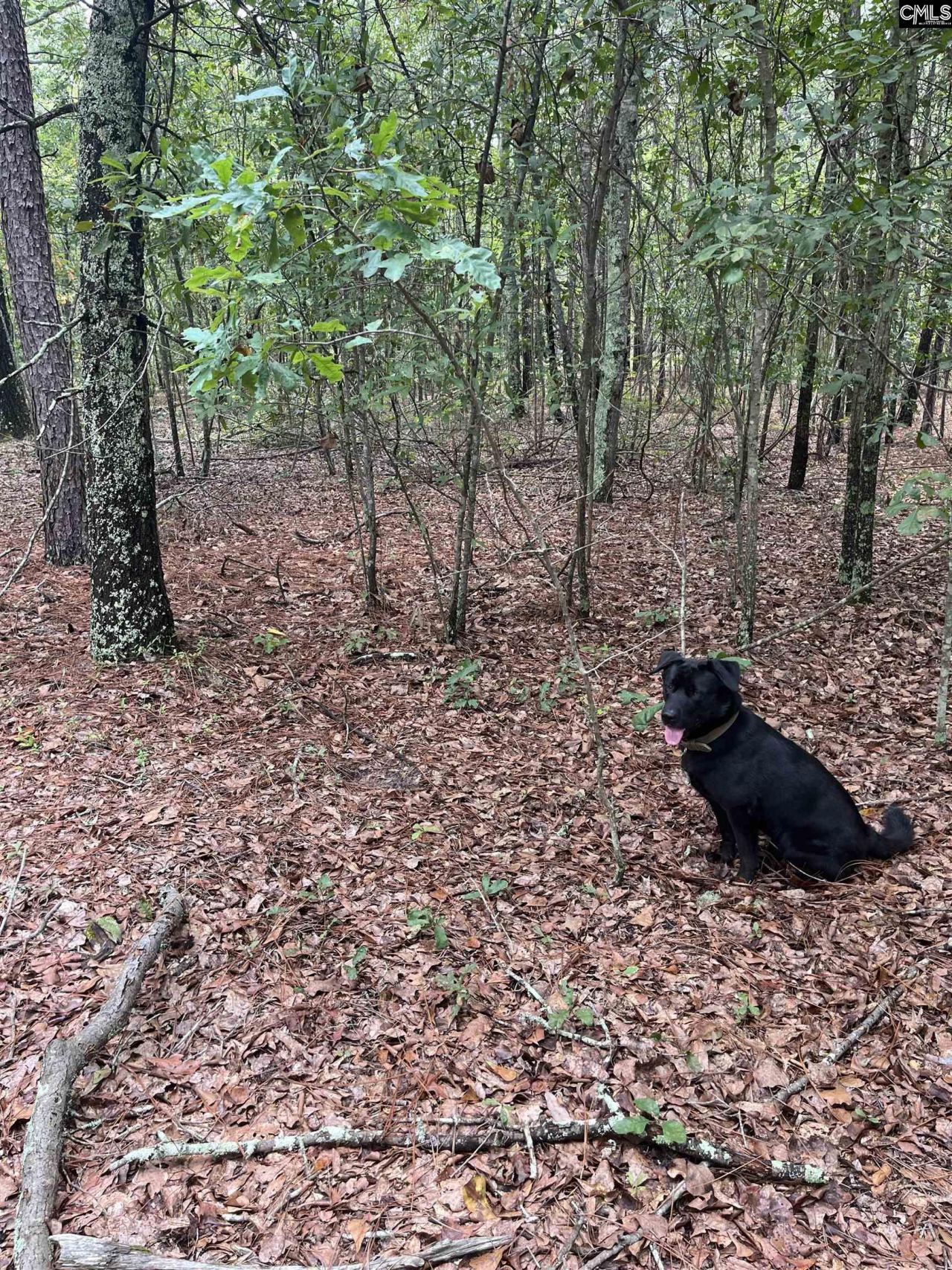 Bhl 4 Boise Cascade Road Photo 8