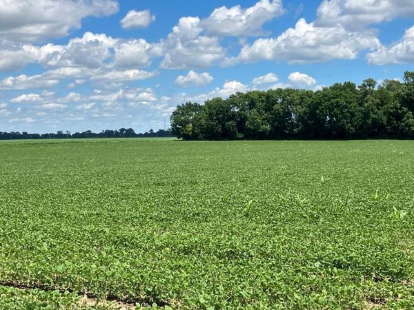 0 E 2nd Street, Tampico, IL 61283
