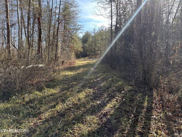 1456 Acres Hwy 52 , Robbins, TN 37852