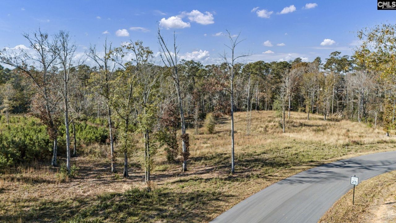 0 Woodside Shores Drive Photo 5