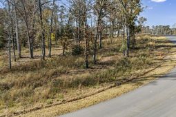 0 Woodside Shores Drive photo 4