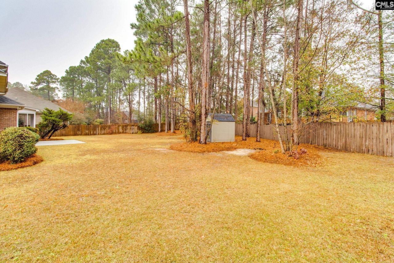 323 Hillridge Way Photo 37