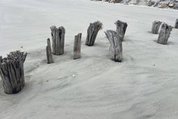 0 E Ashley East Avenue photo 4