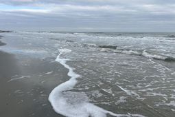 0 E Ashley East Avenue photo 4