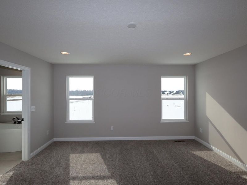 320 River Birch Drive, Galena, OH 43021 Photo 12