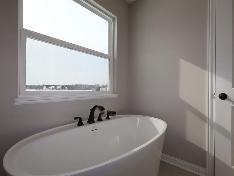 320 River Birch Drive, Galena, OH 43021 Photo 16