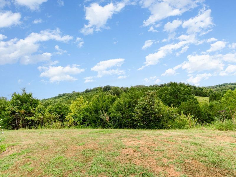 134 Buffalo Ridge Road, Falmouth, KY 41040 Photo 22