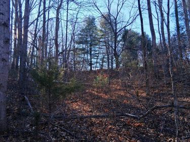 0 Peters Creek Road, Big Island, VA 24526