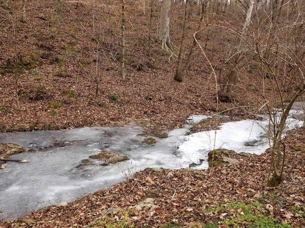 8271 Jernigan Hollow Rd, Athens, AL