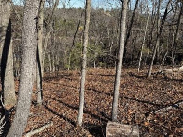 Dogwood Road, Rogers, AR 72756