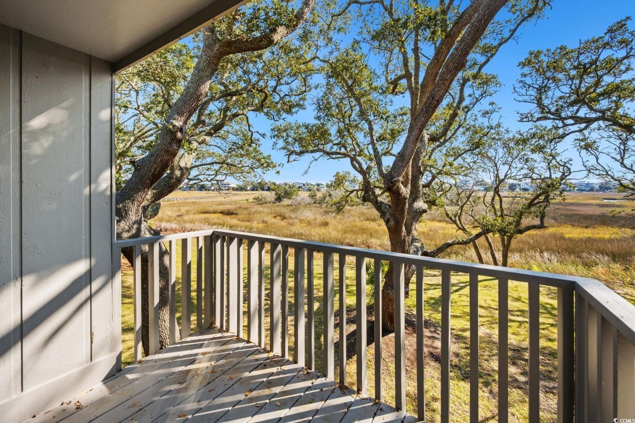 312 Salt Marsh Circle Photo 20