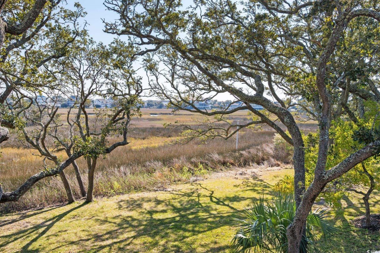 312 Salt Marsh Circle Photo 23