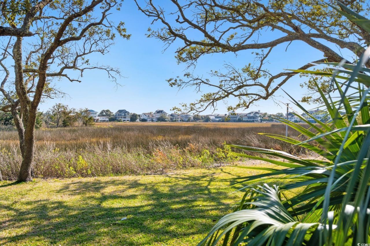 312 Salt Marsh Circle Photo 24