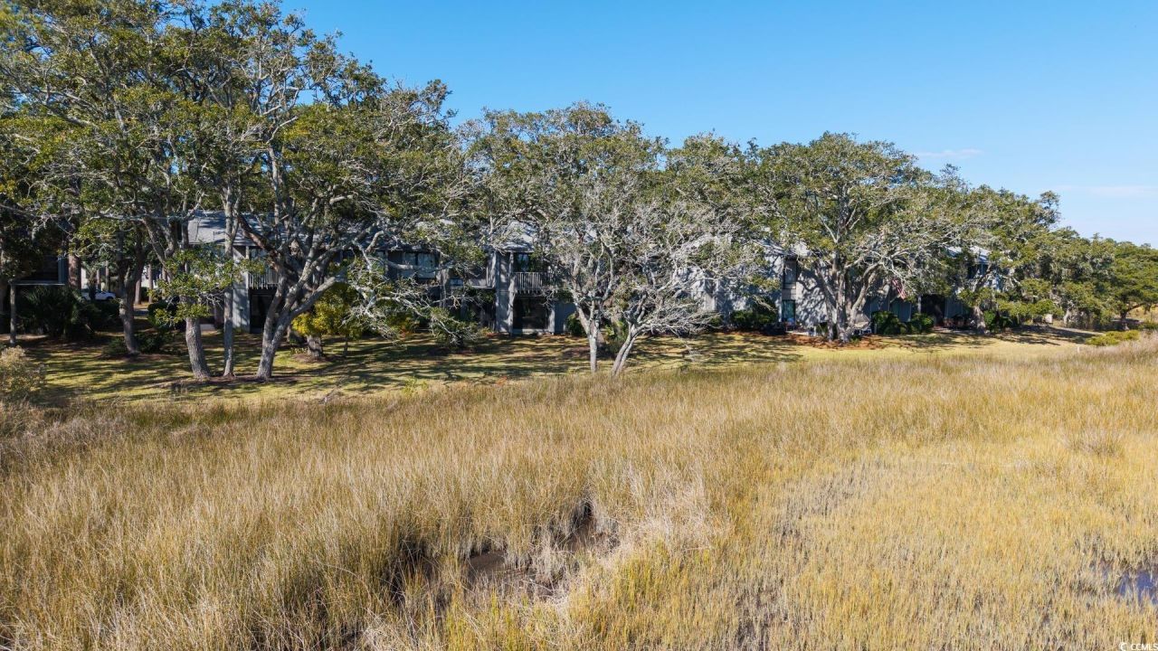 312 Salt Marsh Circle Photo 29