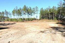 818 White Pond Road photo 4