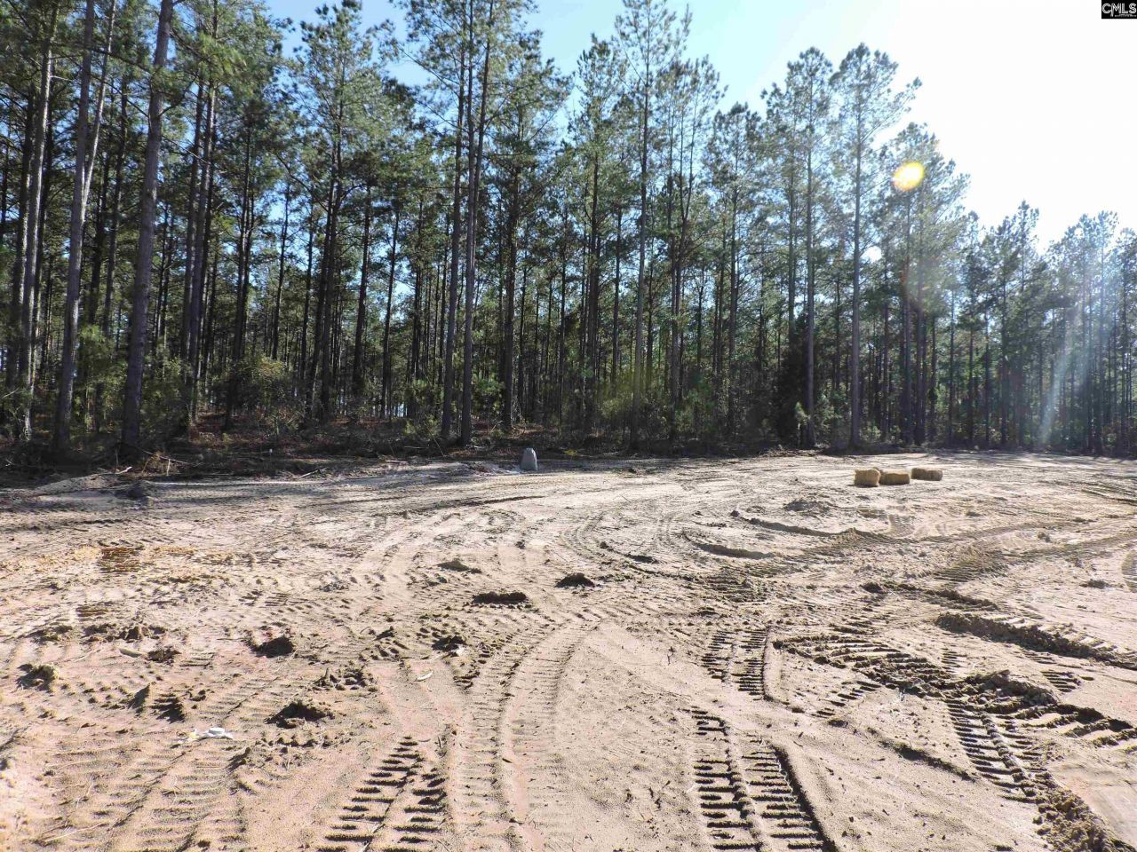 818 White Pond Road Photo 8