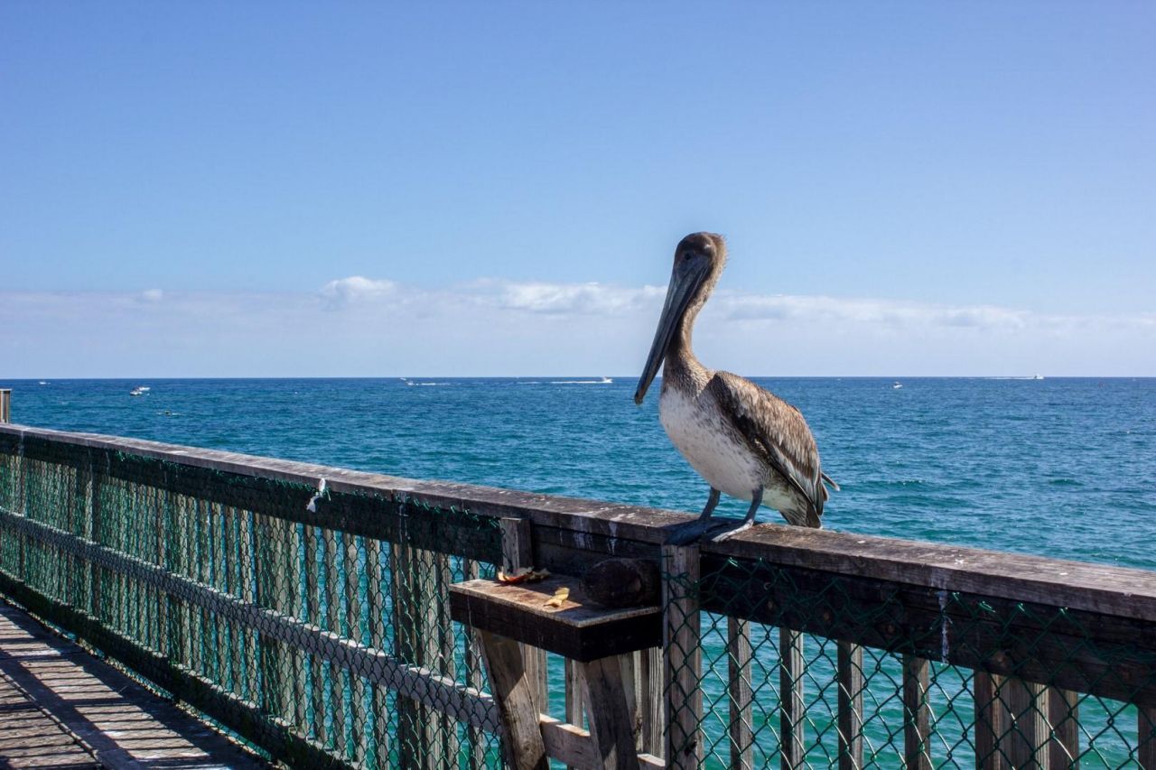 1370 S Ocean Boulevard, Unit 602, Pompano Beach, FL 33062 Photo