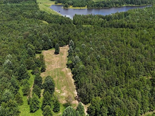 1476 MAJOR HILL ROAD RD, Bethel Springs, TN 38315