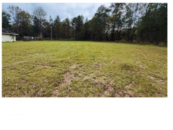 TBD Felix Lee Rd, Ethel, LA 70737