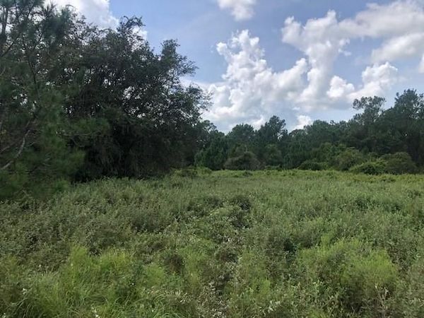 0 Old Grade Rd, Polk City, FL 33868
