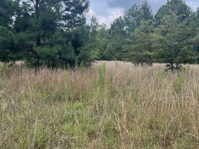 BHL 8 Boise Cascade Road, Bethune, SC 29009