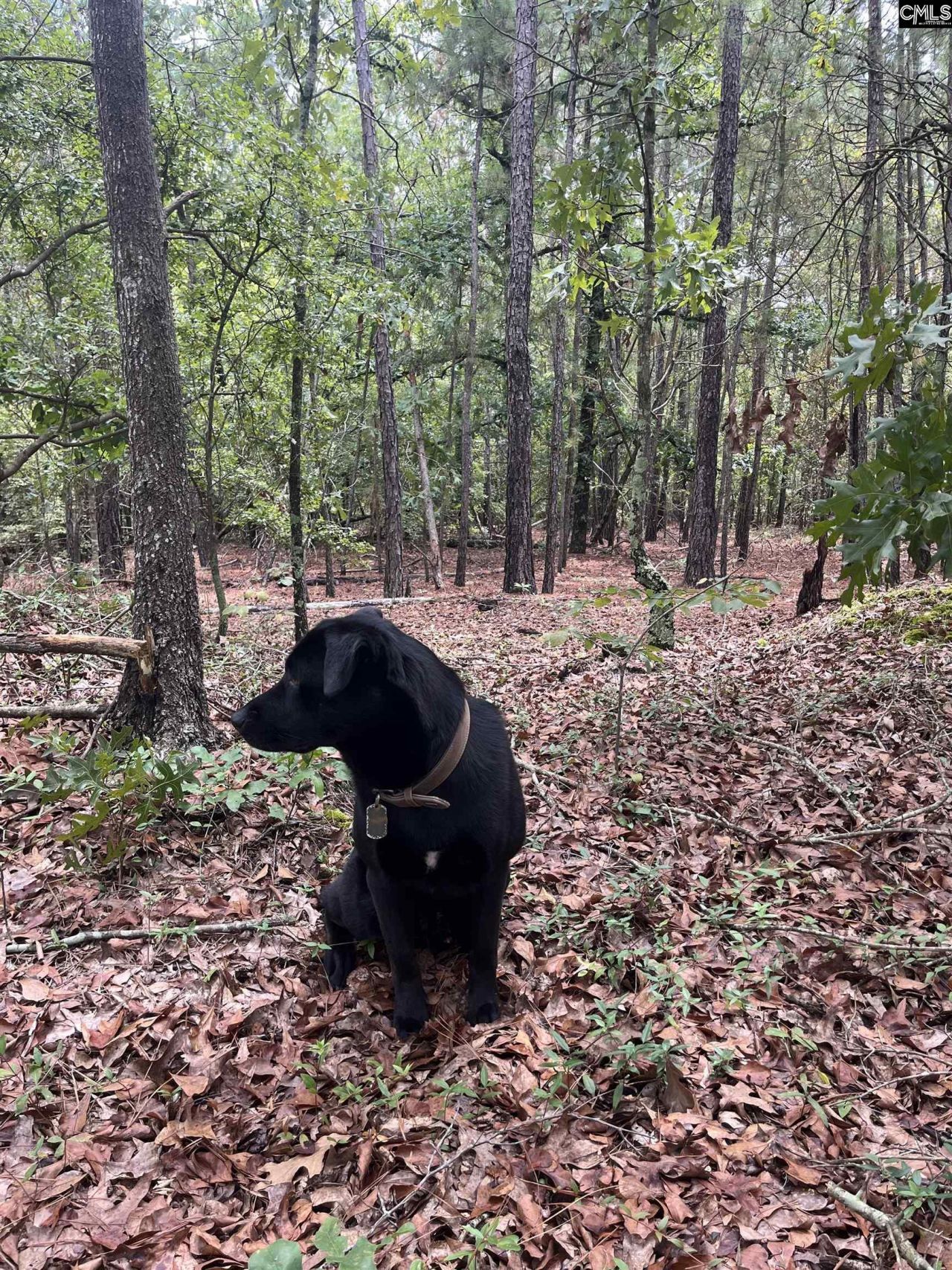 Bhl 8 Boise Cascade Road Photo 12