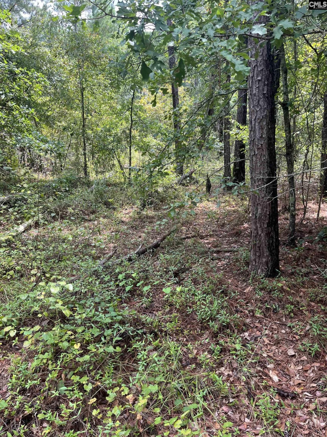 Bhl 8 Boise Cascade Road Photo 14