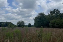 Bhl 8 Boise Cascade Road photo 4